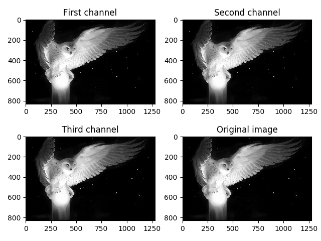 GreyScaled_image_with_three_identical_channels