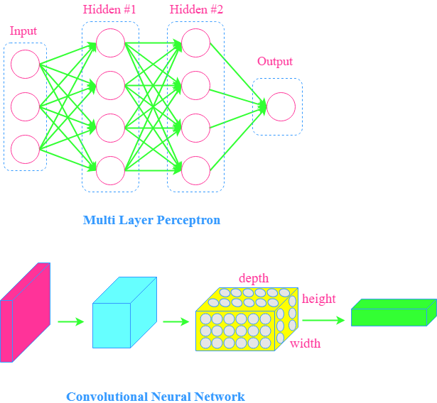 Architecture of MLP and CNN